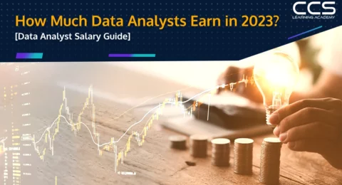 Data Analysts Salary Guide