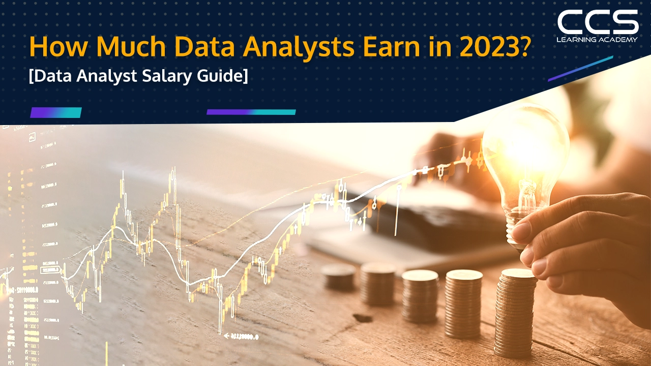 Data Analysts Salary Guide