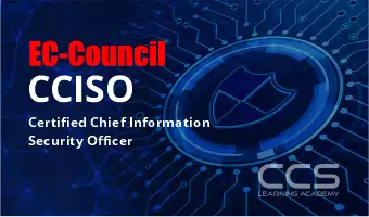 Chief Information Security Officer