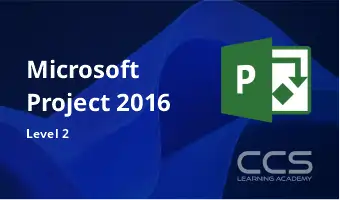 Microsoft Project 2016: Level 2