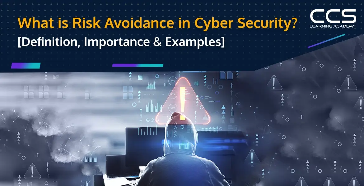 What is Risk Avoidance in Cybersecurity
