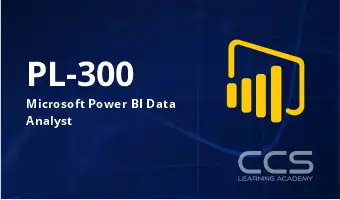 Microsoft Power BI Data Analyst