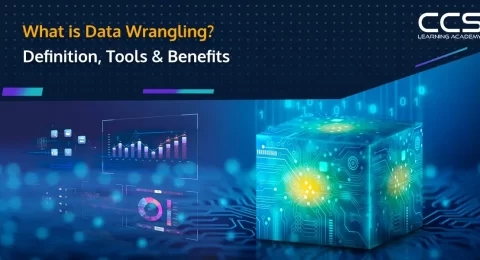What is Data Wrangling