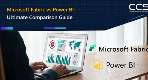 Microsoft Fabric vs Power BI