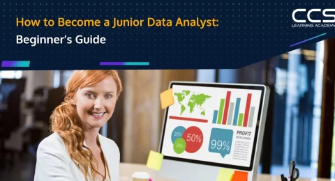 How to Become a Junior Data Analyst