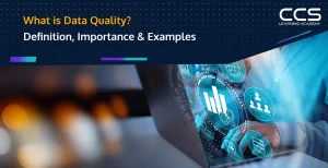 What is data quality