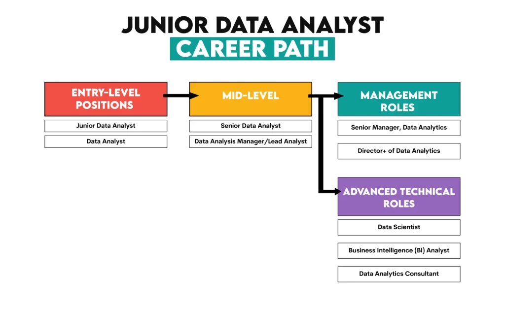 Junior Data Analyst Career Path