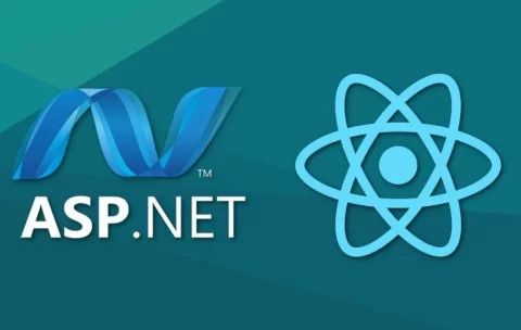 ASP.Net Core MVC Web Applications