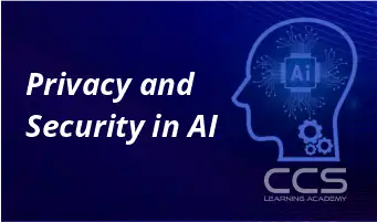 Privacy and Security in AI