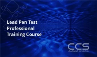 Pen Test Professional