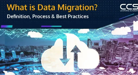 What is Data Migration