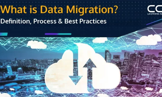 What is Data Migration