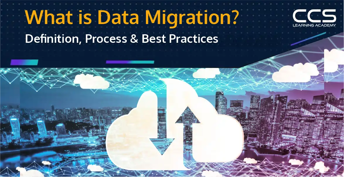 What is Data Migration