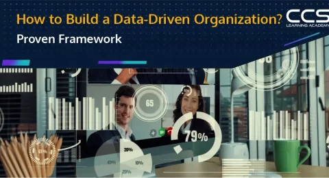 How to Build a Data Driven Organization