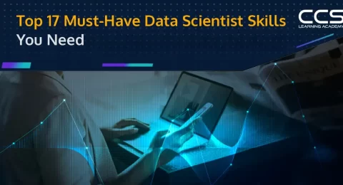 Top Data Scientist Skills