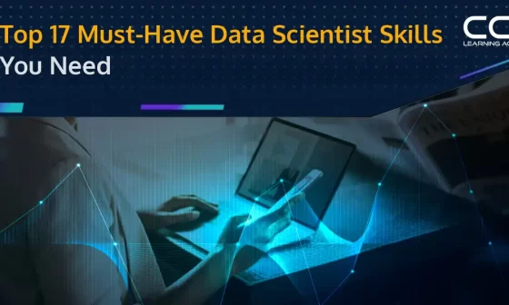 Top Data Scientist Skills