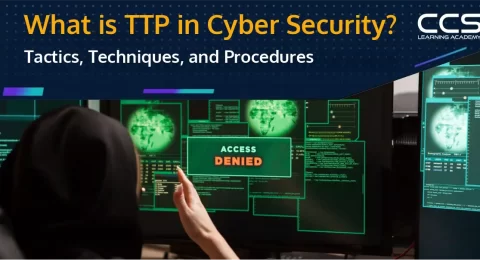 What is TTP in Cybersecurity