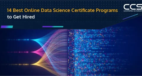 Best Online Data Science Certificate Programs