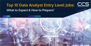 Data Analyst Entry-Level Jobs