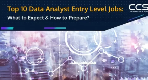 Data Analyst Entry-Level Jobs