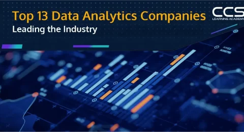 Data Analytics Companies