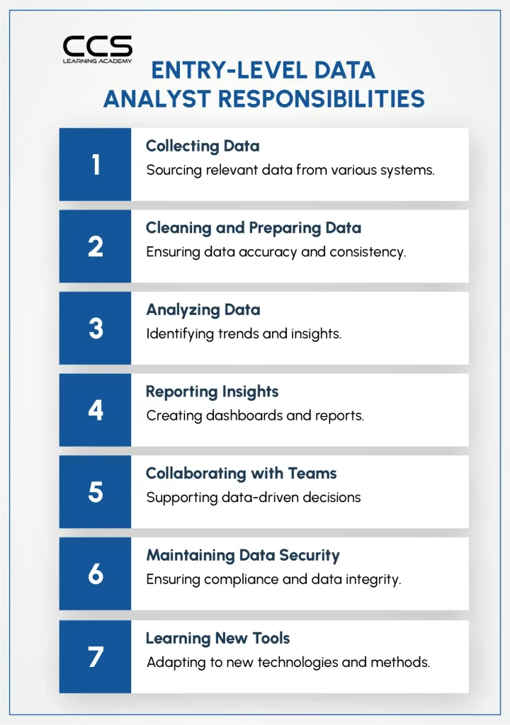 Entry Level Data Analyst Responsibilities