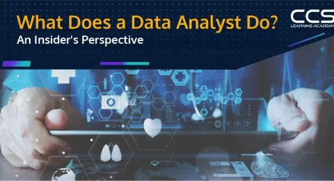 What Does a Data Analyst Do