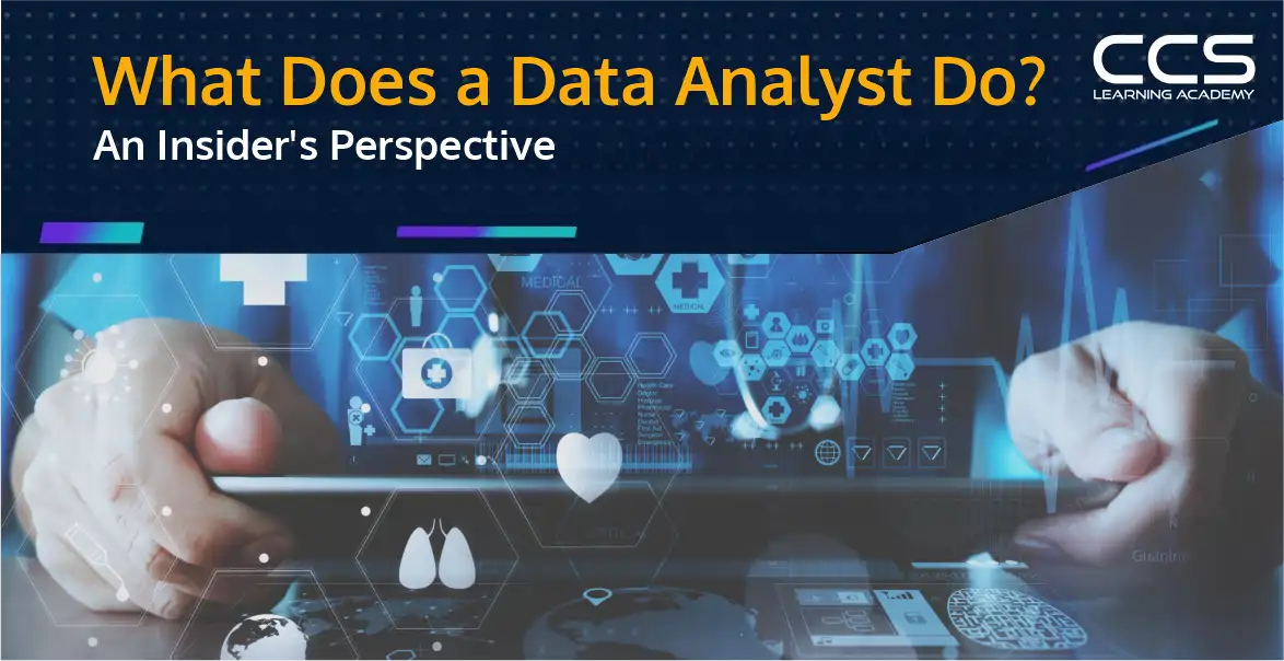 What Does a Data Analyst Do