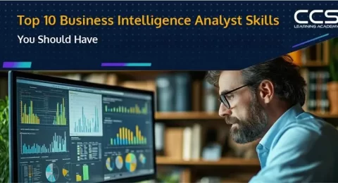 Business Intelligence Analyst Skills